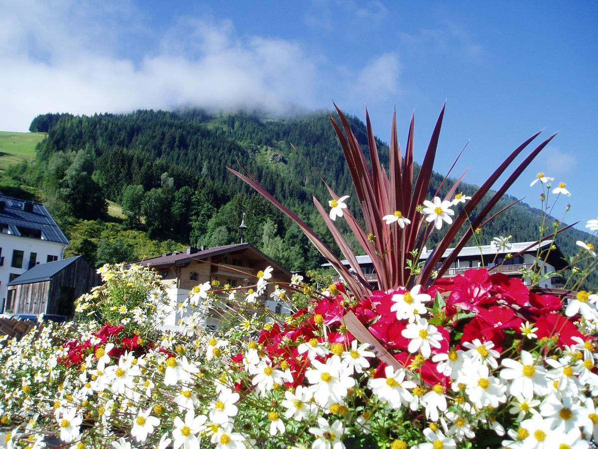 Am Zwoelferkogel Appartements Saalbach-Hinterglemm Extérieur photo