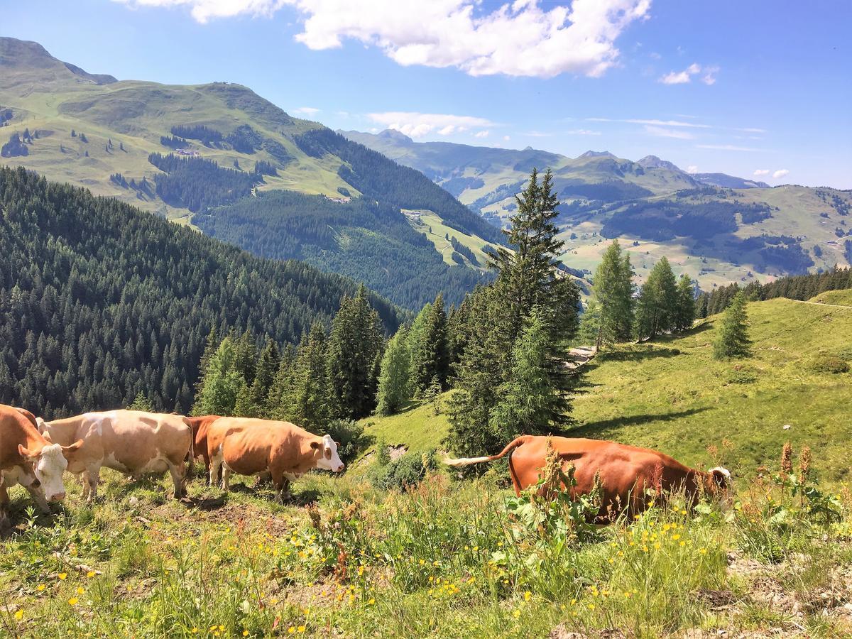 Am Zwoelferkogel Appartements Saalbach-Hinterglemm Extérieur photo