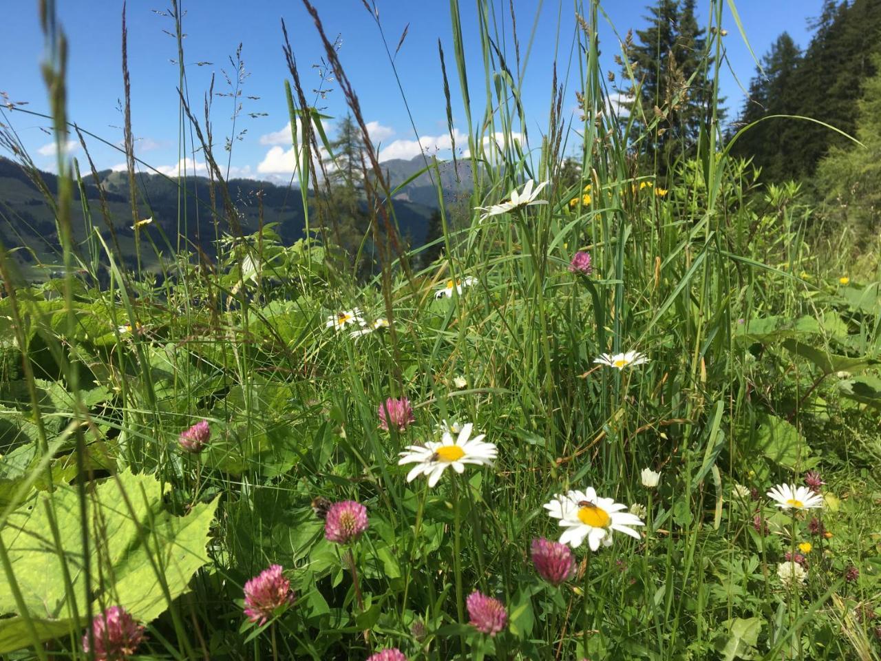 Am Zwoelferkogel Appartements Saalbach-Hinterglemm Extérieur photo